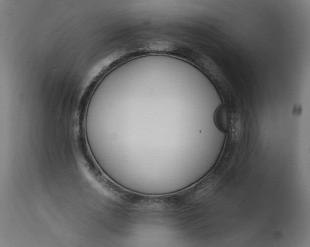 X0000111490726200907281226