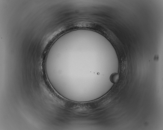 X0000111490727200907281226