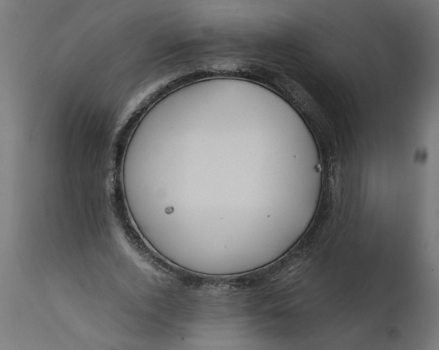 X0000111490728200907281226