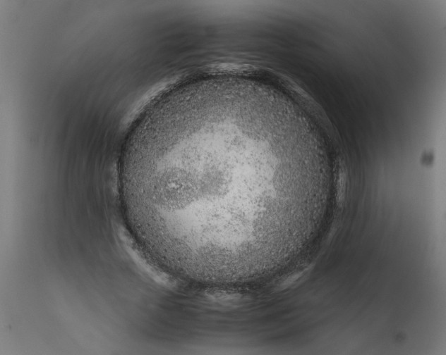 X0000111490729200907281226