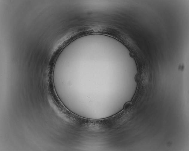 X0000111490730200907281226