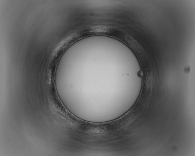 X0000111490731200907281226