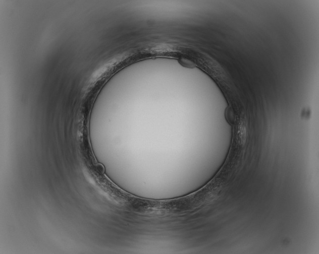 X0000111490732200907281226