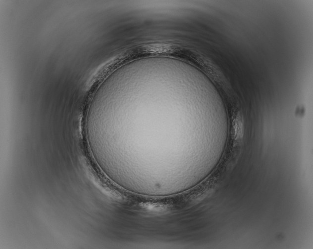 X0000111490733200907281226