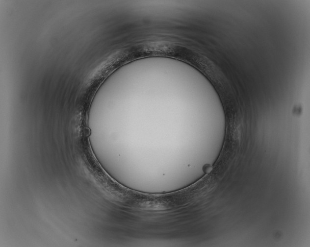 X0000111490735200907281226