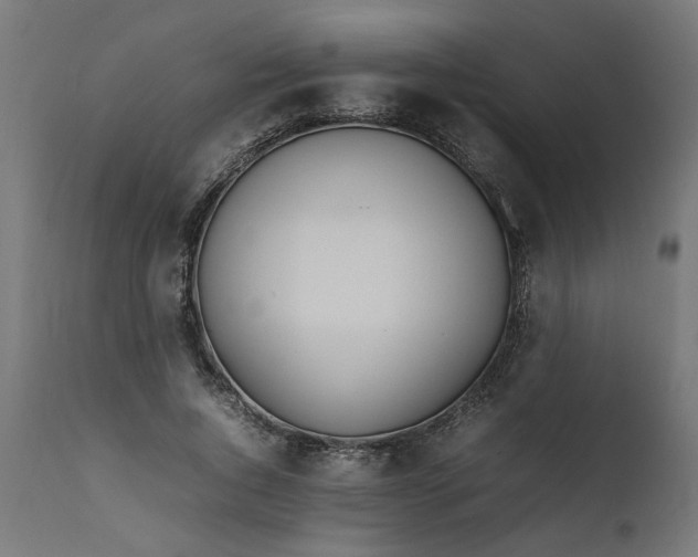 X0000111490736200907281226