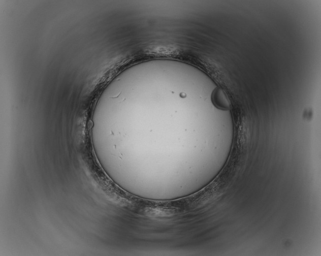 X0000111490739200907281226