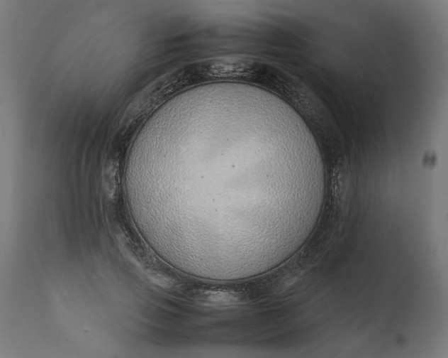 X0000111490741200907281226