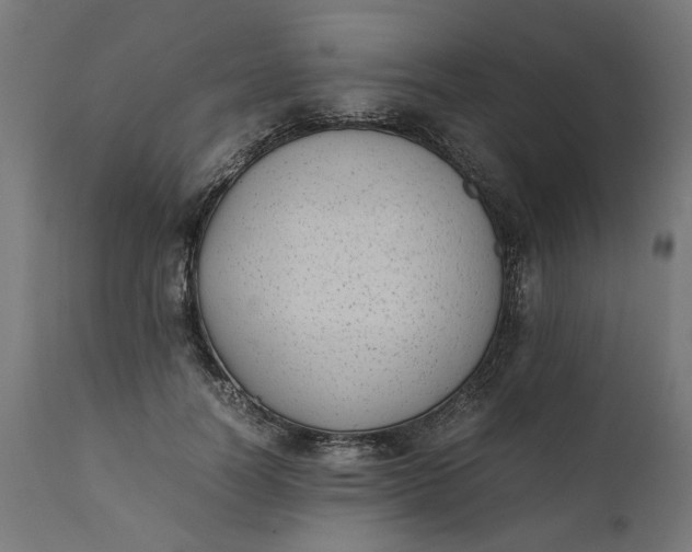 X0000111490746200907281226