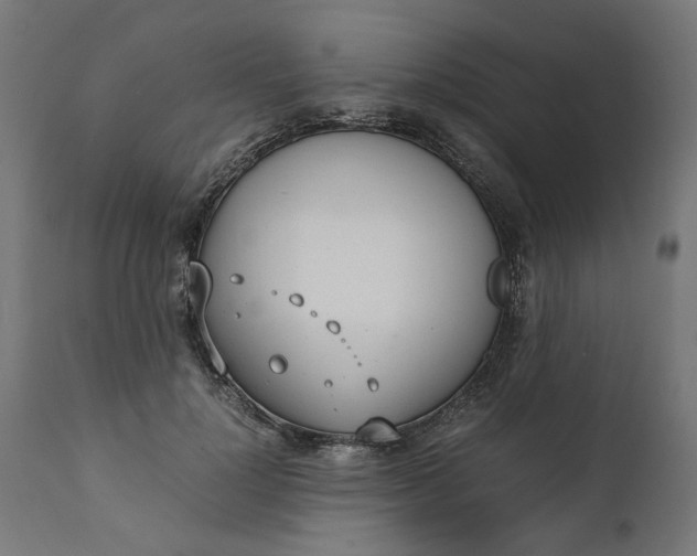 X0000111490748200907281226