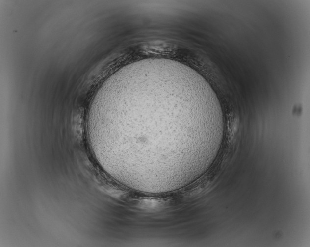 X0000111490749200907281226