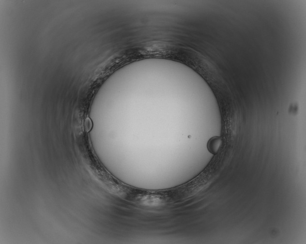 X0000111490751200907281226