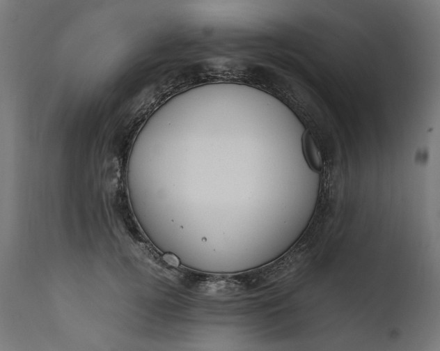 X0000111490752200907281226