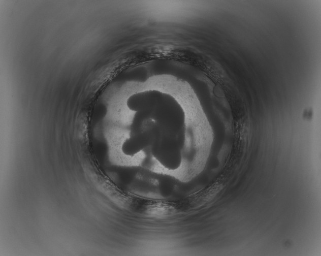 X0000111490754200907281226