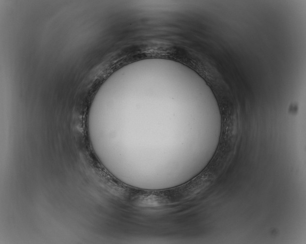 X0000111490755200907281227