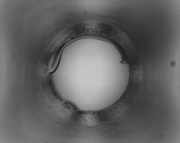 X0000111490756200907281227