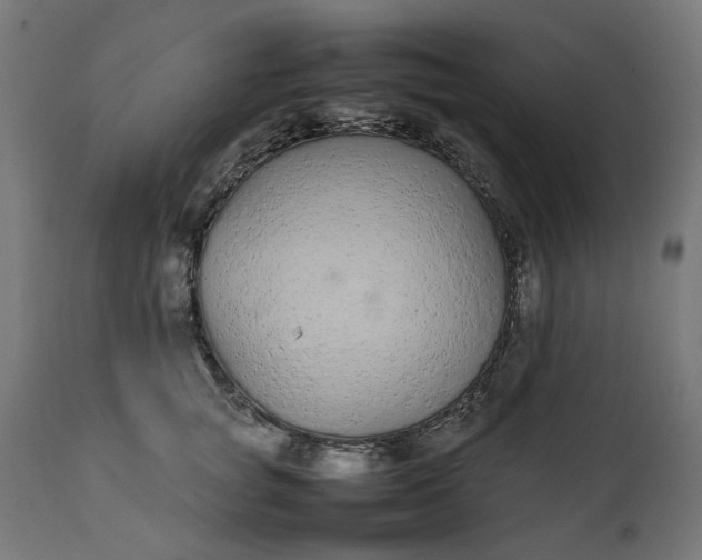 X0000111490757200907281227