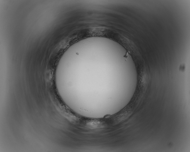 X0000111490759200907281227