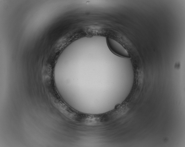 X0000111490760200907281227