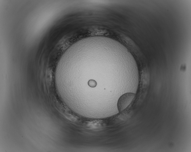 X0000111490761200907281227