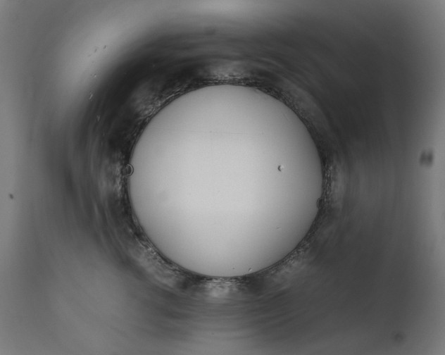 X0000111490762200907281227