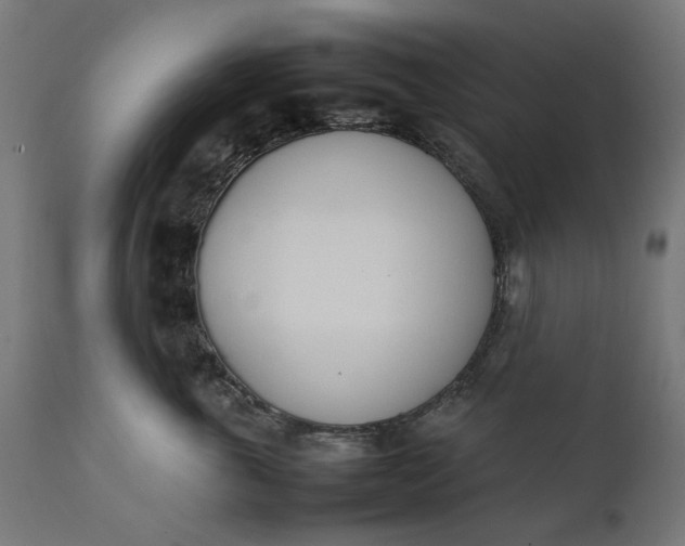 X0000111490763200907281227