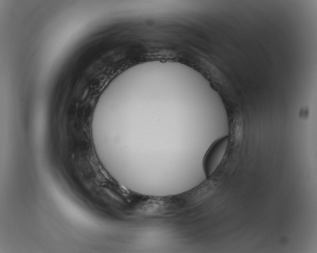 X0000111490764200907281227