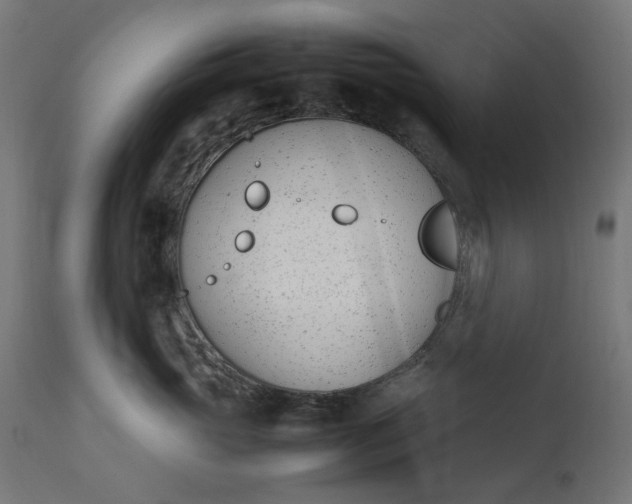 X0000111490765200907281227