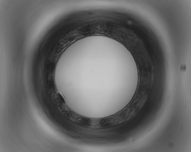 X0000111490766200907281227