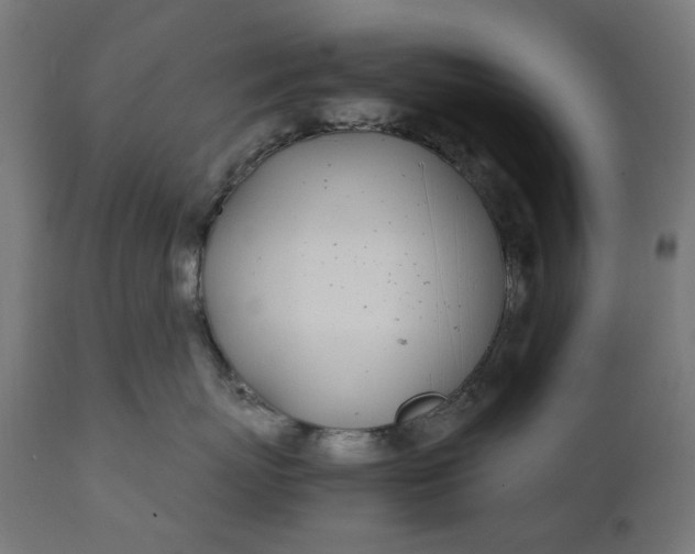 X0000111490767200907281227