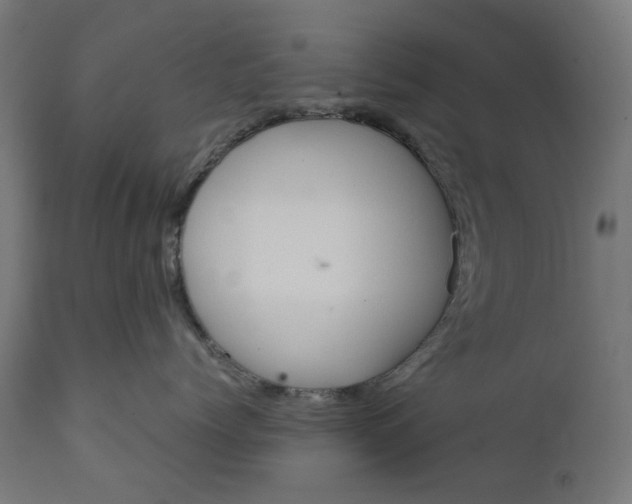 X0000111490768200907281227