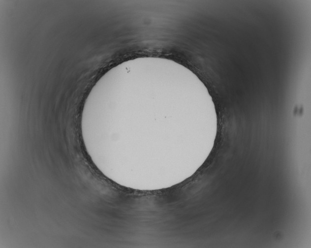 X0000111490769200907281226