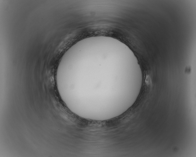 X0000111490771200907281226