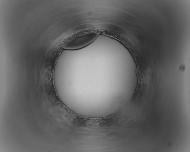 X0000111490773200907281226