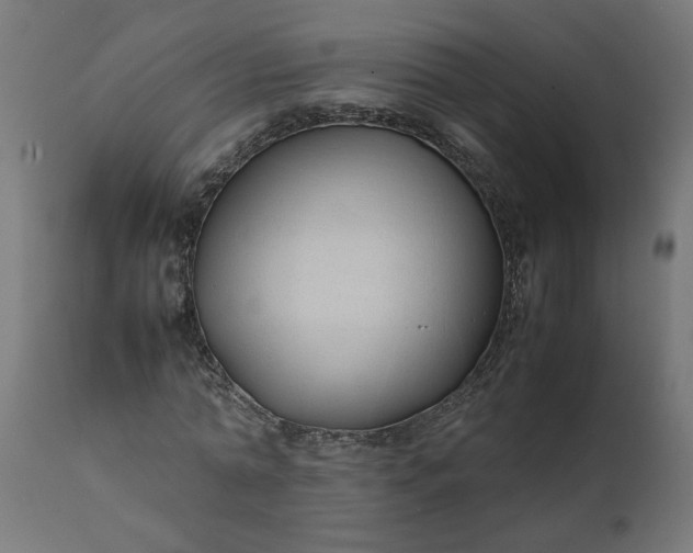 X0000111490774200907281226