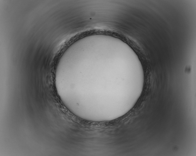 X0000111490776200907281226