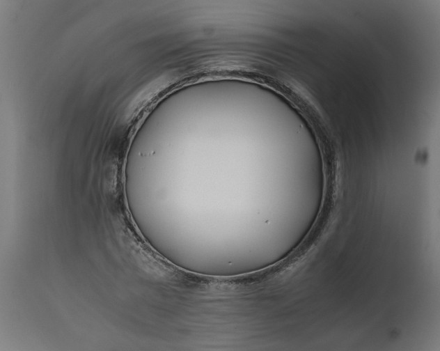 X0000111490777200907281226