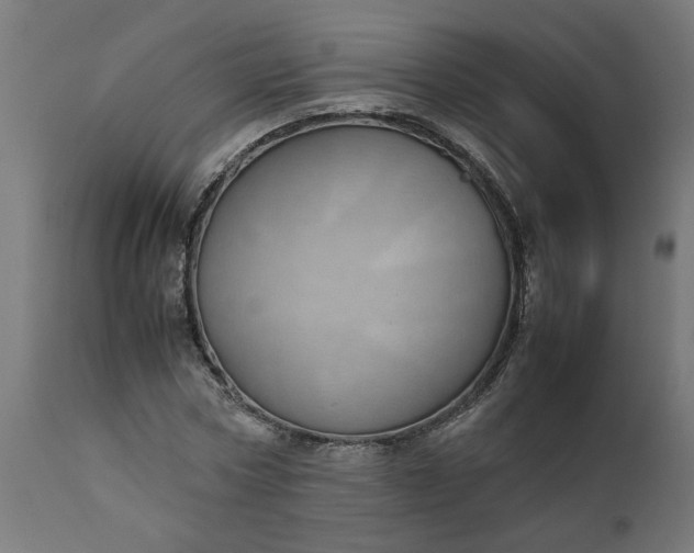 X0000111490778200907281226