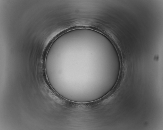 X0000111490779200907281226