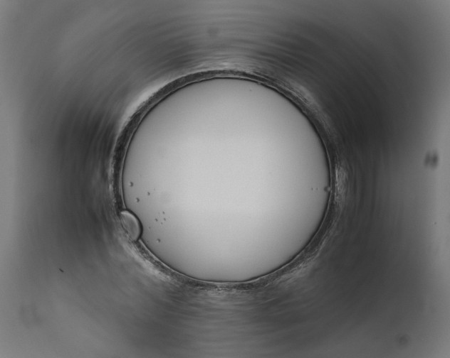 X0000111490780200907281226