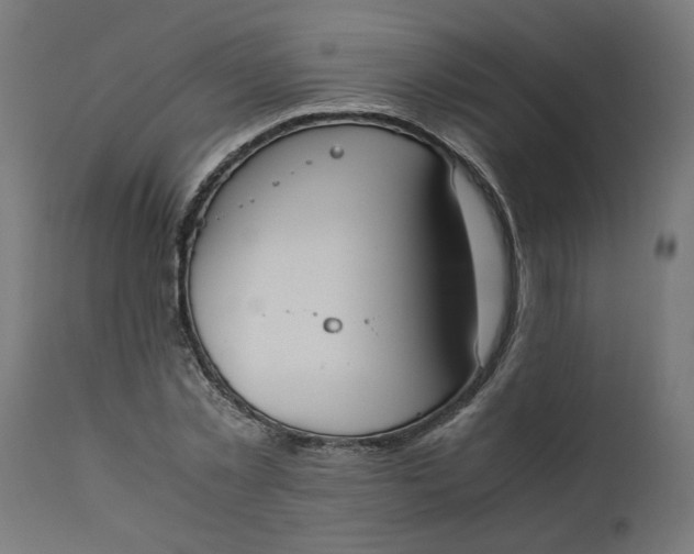 X0000111490781200907281226