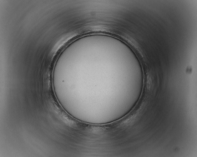 X0000111490782200907281226