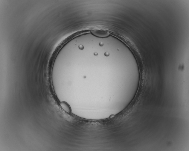 X0000111490784200907281226