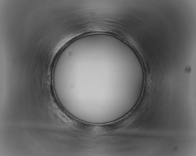 X0000111490787200907281226