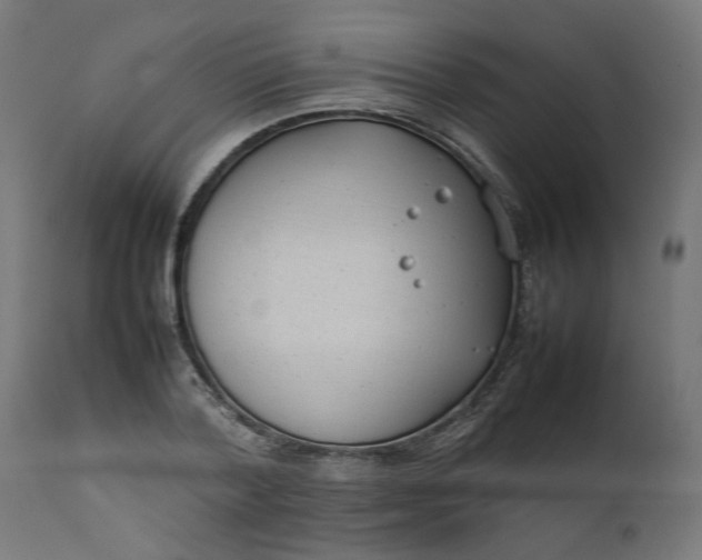 X0000111490788200907281226