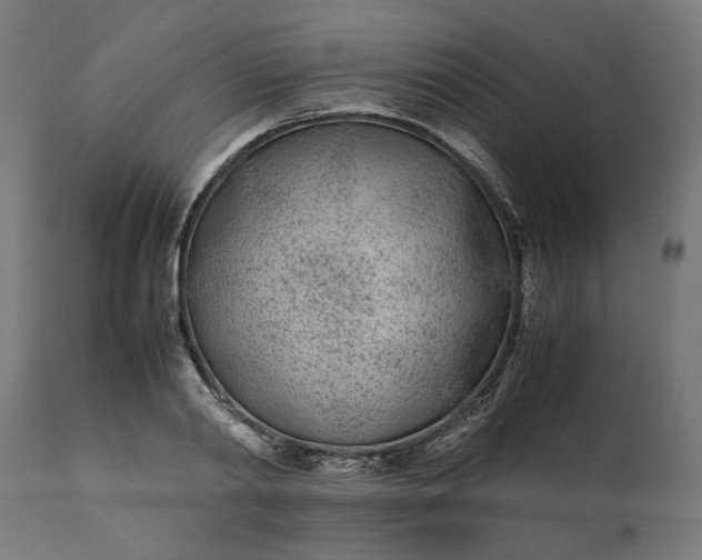 X0000111490790200907281226