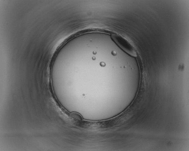 X0000111490791200907281226