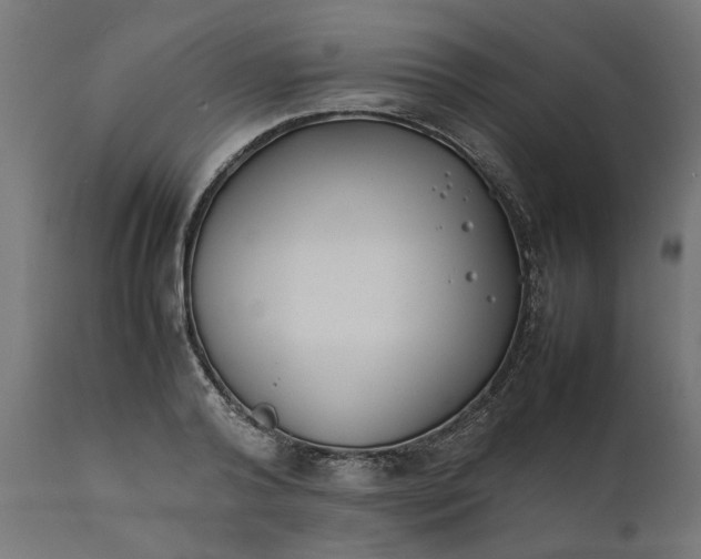 X0000111490792200907281226