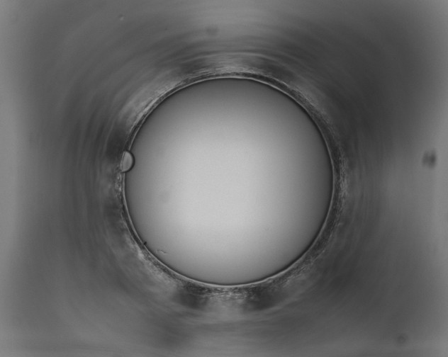 X0000111490793200907281226