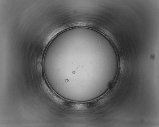 X0000111490794200907281226